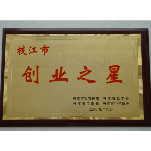 公司资质
